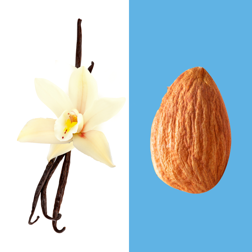 A single stick of vanilla and a single almond.